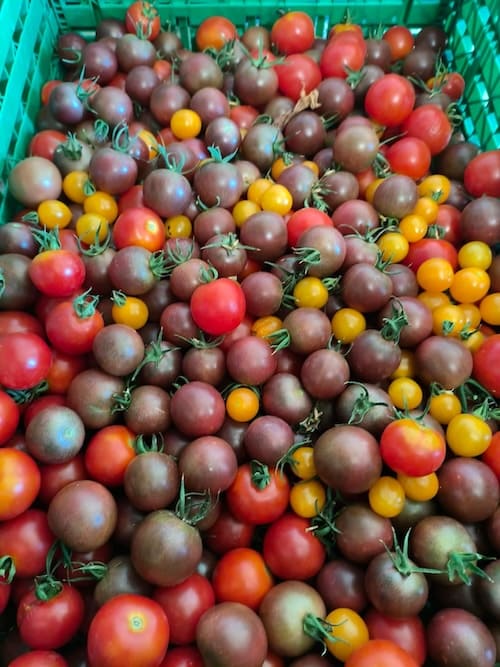 Tomates cerise Lissada à Marseille
