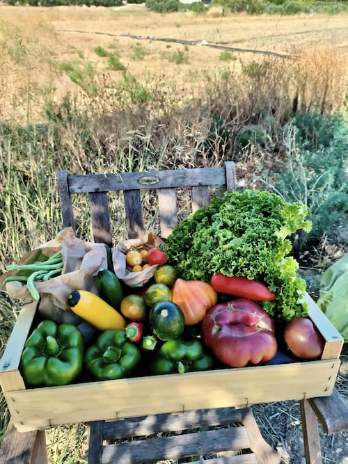 paniers de légumes Lissada à Marseille