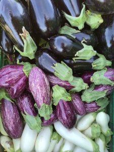 Les aubergines Lissada