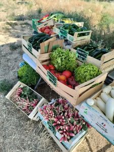 Ventes de légumes bio Lissada à Marseille