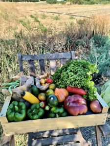 paniers de légumes Lissada à Marseille